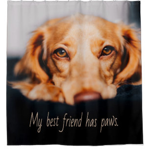 Cortina De Ducha Mi mejor amigo tiene perro de garras, Meme de pipa