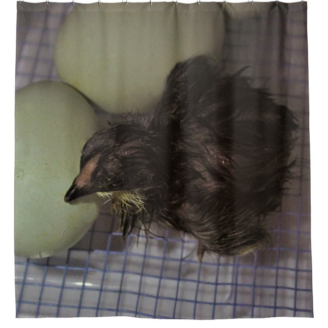 Cortina De Ducha Minutos viejos (Anverso)