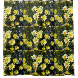 Cortina De Ducha Misty (Agritrano)