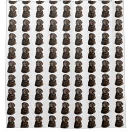 Cortina De Ducha Modelo del perro de Labrador del chocolate