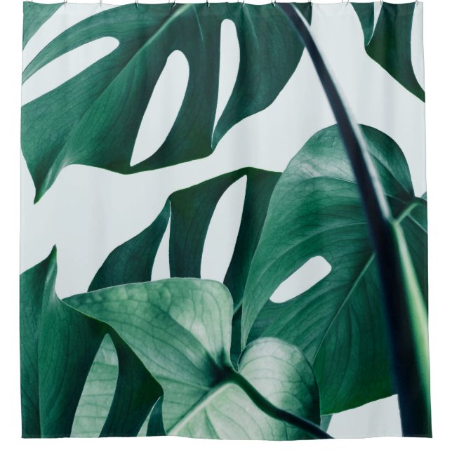 Cortina De Ducha Monstera (Anverso)