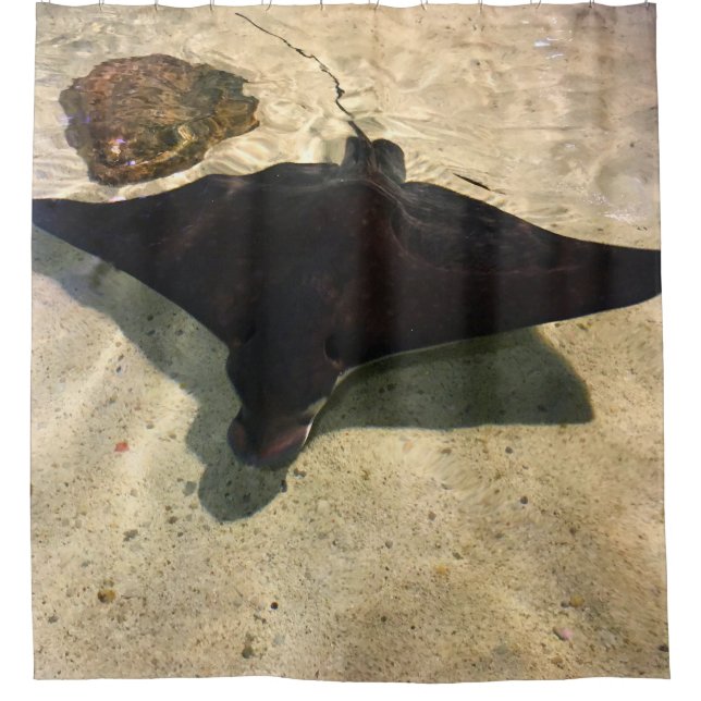 Cortina De Ducha Mystical Stingray (Anverso)