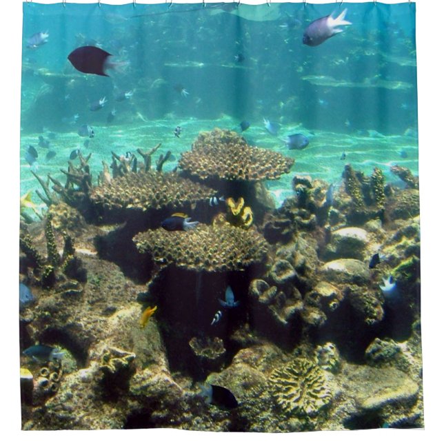 CORTINA DE DUCHA NADAR CON LOS PESCADOS (Anverso)