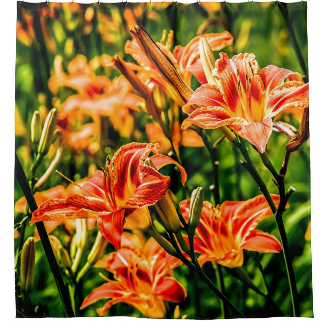 Cortina De Ducha Naranja Daylilies Flowers (Anverso)