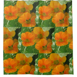 Cortina De Ducha Nasturtios brillantes
