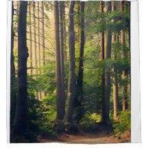 Naturaleza, árboles en el Parque Nacional