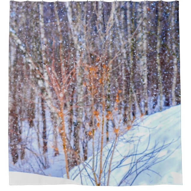Cortina De Ducha Nevada En El Bosque (Anverso)