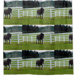 Cortina De Ducha Nonesuch at Cedar Point