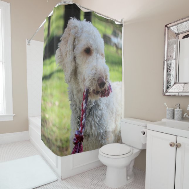 Cortina De Ducha Ollie (In situ)