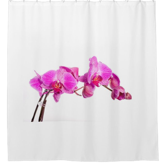 Cortina De Ducha Orquídea (Anverso)