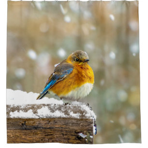 Cortina De Ducha Pájaro azul oriental en nieve - Fotografía origina