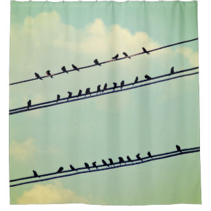 Cortina De Ducha Pájaros en cables, cielo azul vintage.