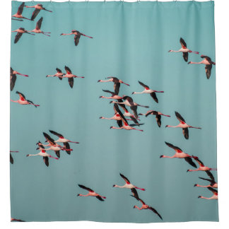 CORTINA DE DUCHA PÁJAROS NEGROS Y BLANCOS