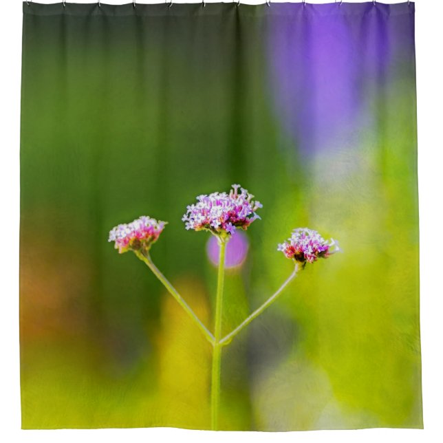 Cortina De Ducha Paleta de verano (Anverso)