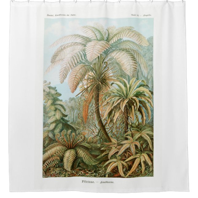 Cortina De Ducha Palm Tree Ernst Haeckel (Anverso)