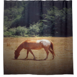 Cortina De Ducha Palomino pastando....