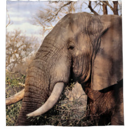 Cortina de ducha para la vida silvestre del elefan