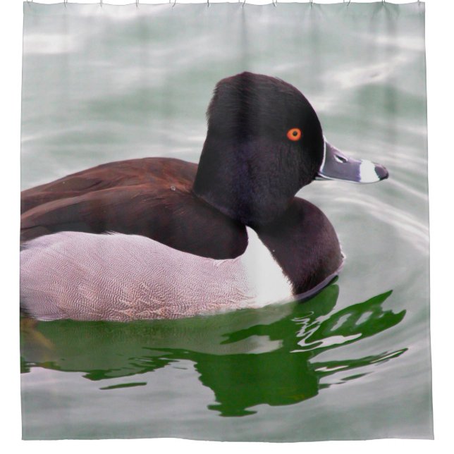 Cortina De Ducha Pato de Collar (Anverso)