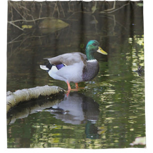 Cortina De Ducha Pato del pato silvestre