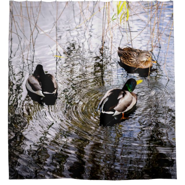 Cortina De Ducha Patos (Anverso)