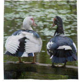 Cortina De Ducha Patos de Muscovy