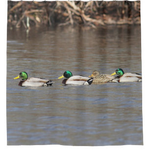 Cortina De Ducha Patos del pato silvestre