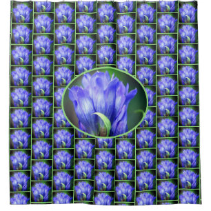 Cortina De Ducha Patrón de flores gentianas azules