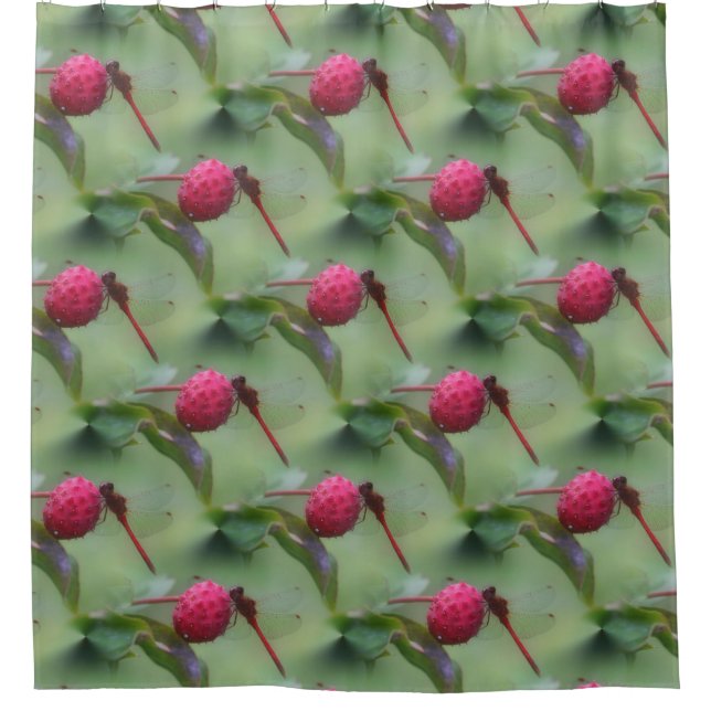 Cortina De Ducha Patrón de libélula roja de la naturaleza (Anverso)