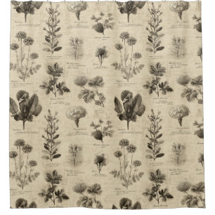 Cortina De Ducha Patrón floral botánico vintage (11)