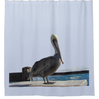 Cortina de ducha - Pelican en el muelle