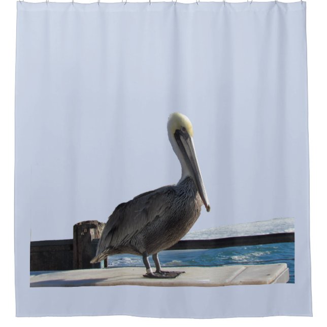Cortina de ducha - Pelican en el muelle (Anverso)