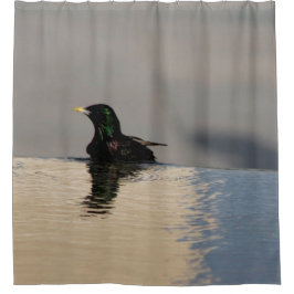 Cortina De Ducha Pequeño pájaro