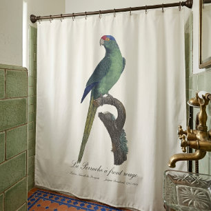 Cortina De Ducha Perico Frentianaranjado, Eupsittula Canicularis