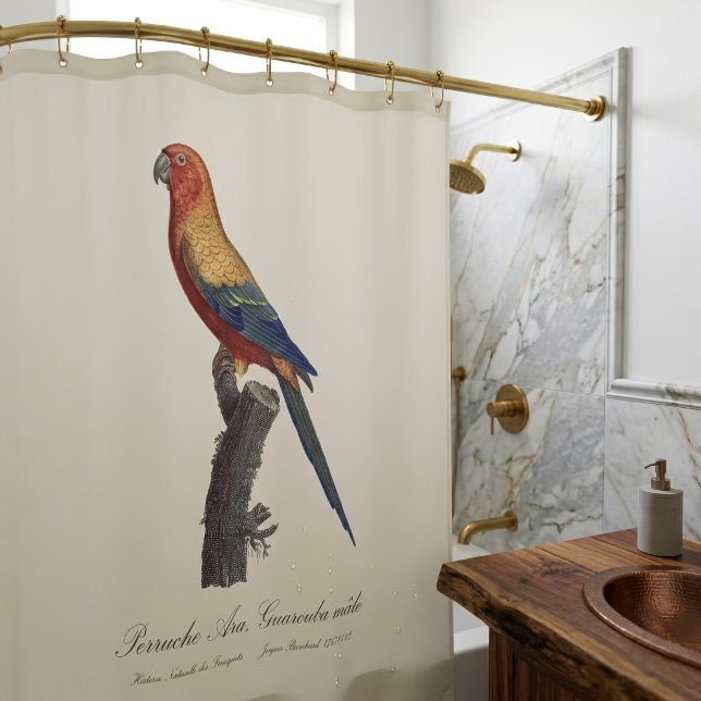 Cortina De Ducha Perico Sol, Aratinga Solstitialis (Sun Parakeet Male, Aratinga Solstitialis. Shower Curtain)