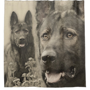Cortina De Ducha Perro de pastor alemán de trabajo - GSD