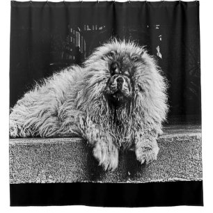 Cortina De Ducha Perro del perro chino de perro chino en el
