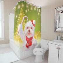 Perro navidad con candy cane