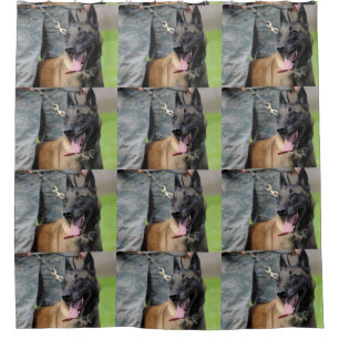 Cortina De Ducha Perro sonriente de Malinois del belga