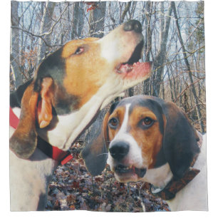Cortina De Ducha Perros del Coonhound del caminante de Treeing en