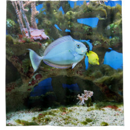 Cortina De Ducha Pescados del azul del mar