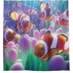 Cortina De Ducha Pescados Nemo del payaso