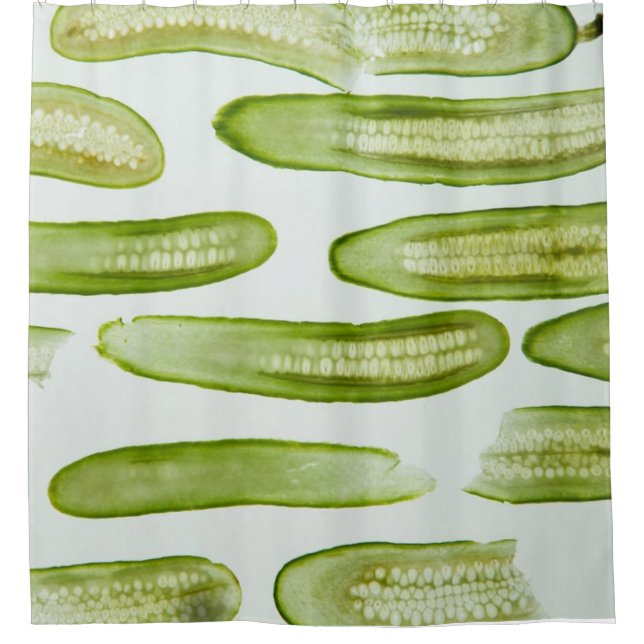 Cortina De Ducha Pickles Green (Anverso)