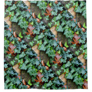 Cortina De Ducha Piedras, hiedra, pared de jardín, decoración botán