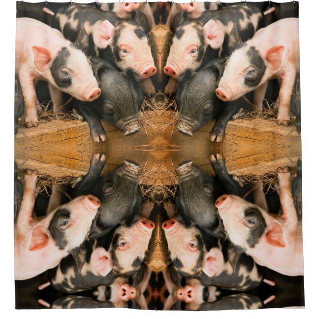 Cortina De Ducha Píglicinas cortas (Anverso)