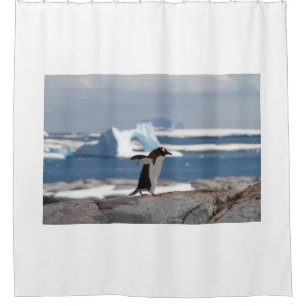 Cortina De Ducha Pingüino frente a un arco de hielo