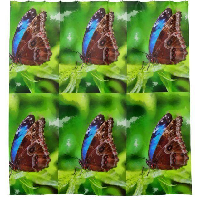 Cortina De Ducha Pintura de mariposa (Anverso)