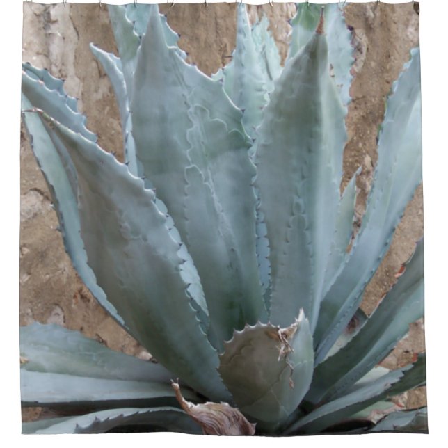 Cortina De Ducha Planta Agave Azul (Anverso)