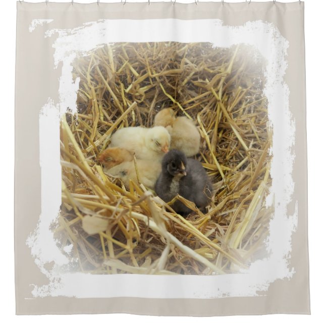 Cortina De Ducha pollo pequeño (Anverso)