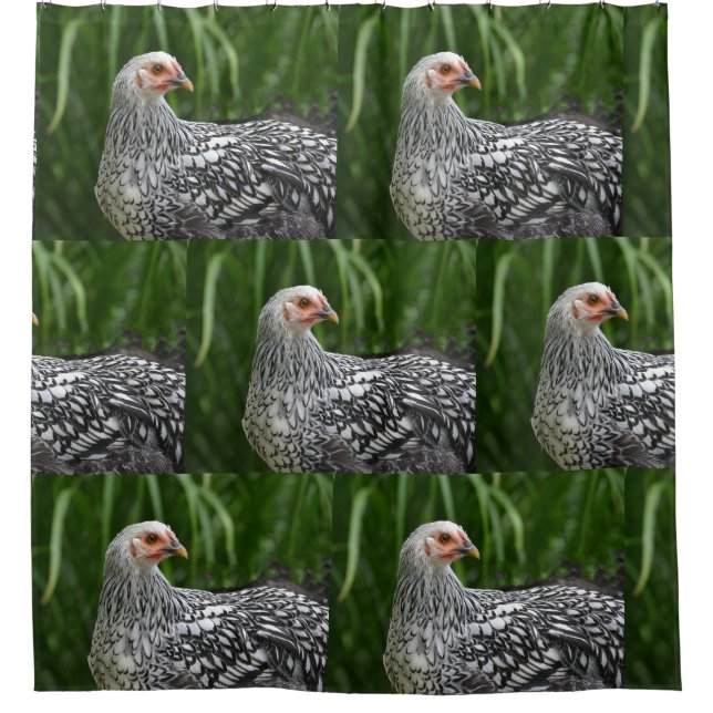 Cortina De Ducha Pollo plateado (Anverso)