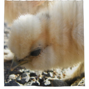 Cortina De Ducha Polluelo de color de ante del pollo de Silkie